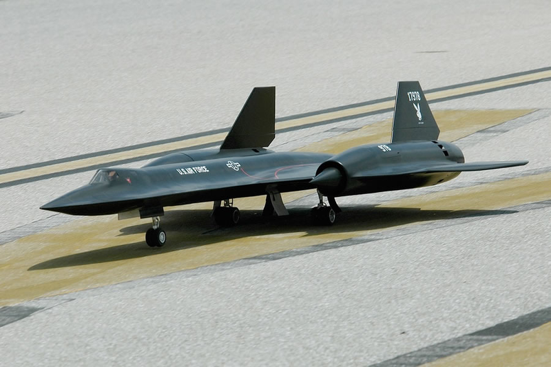 Illustration for article titled Top Gun 2008: Biggest RC Airplane Competition in the World